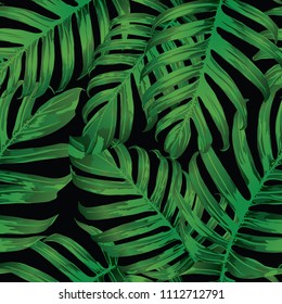 Palm Monstera Seamless Pattern. Black Green Tropical Summer Background. Beach Jungle Leaves for Swimwear Design. Lei Rapport. Vintage Hawaiian Print. Exotic Texture. Botanic tile.