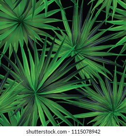 Palm Monstera Seamless Pattern. Black Green Tropical Summer Background. Beach Jungle Leaves for Swimwear Design. Lei Rapport. Retro Hawaiian Print. Exotic Texture. Botanic tiling.