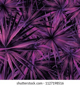 Palm Monstera Seamless Pattern. Black Pink Tropical Summer Background. Beach Jungle Leaves for Swimwear Design. Lei Rapport. Vintage Hawaiian Print. Exotic Texture. Botanic tiling.