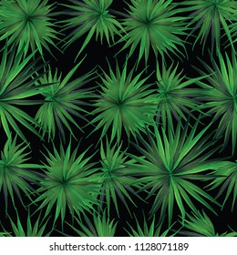 Palm Monstera Seamless Pattern. Black Green Tropical Summer Background. Beach Jungle Leaves for Swimwear Design. Lei Rapport. Vintage Hawaiian Print. Exotic Texture. Botanic tile.