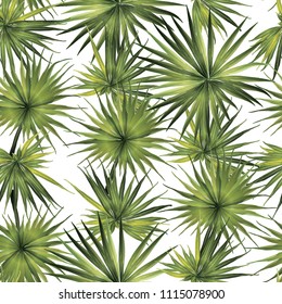 Palm Monstera Seamless Pattern. Green White Tropical Summer Background. Beach and Jungle Leaves for Swimwear Design.  Lei Rapport. Retro Hawaiian Print. Exotic Texture. Botanic tiling.