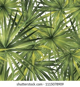 Palm Monstera Seamless Pattern. Green White Tropical Summer Background. Beach and Jungle Leaves for Swimwear Design.  Lei Rapport. Vintage Hawaiian Print. Exotic Texture. Botanic tile.