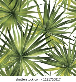 Palm Monstera Seamless Pattern. Green White Tropical Summer Background. Beach Jungle Leaves for Swimwear Design. Vintage Hawaiian Print. Exotic Texture. Botanic tiling.
