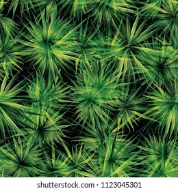 Palm Monstera Seamless Pattern. Green Black Tropical Summer Background. Beach Jungle Leaves for Swimwear Design. Lei Rapport. Retro Hawaiian Print. Tropic Textile Texture.  Botanic tiling.