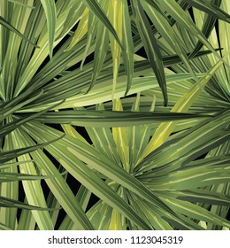 Palm Monstera Seamless Pattern. Green Black Tropical Summer Background. Beach Jungle Leaves for Swimwear Design. Lei Rapport. Retro Hawaiian Print. Tropic Textile Texture.  Botanic tile.