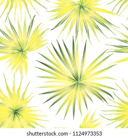 Palm Monstera Seamless Pattern. Green White Tropical Summer Background. Beach Jungle Leaves for Swimwear Design. Lei Rapport. Vintage Hawaiian Print. Tropic Textile Texture.  Botanic tile.