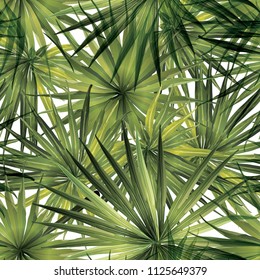 Palm Monstera Seamless Pattern. Green White Tropical Summer Background. Beach Jungle Leaves for Swimwear Design. Lei Rapport. Retro Hawaiian Print. Tropic Textile Texture.  Botanic tiling.