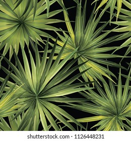 Palm Monstera Seamless Pattern. Green Black Tropical Summer Background. Beach Jungle Leaves for Swimwear Design. Lei Rapport. Vintage Hawaiian Print. Tropic Textile Texture.  Botanic tiling.