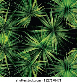 Palm Monstera Seamless Pattern. Green Black Tropical Summer Background. Beach Jungle Leaves for Swimwear Design. Lei Rapport. Vintage Hawaiian Print. Exotic Texture. Botanic tiling.