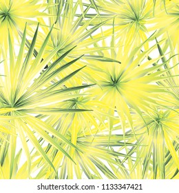 Palm Monstera Seamless Pattern. Green White Tropical Summer Background. Beach and Jungle Leaves for Swimwear Design.  Lei Rapport. Retro Hawaiian Print. Exotic Texture. Botanic tiling.