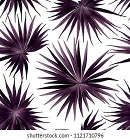 Palm Monstera Seamless Pattern. Purple Tropical Summer Background. Beach Jungle Leaves for Swimwear Design. Lei Rapport. Vintage Hawaiian Print. Exotic Texture. Botanic tile.