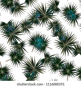 Palm Monstera Seamless Pattern. White Green Tropical Summer Background. Beach Jungle Leaves for Swimwear Design. Lei Rapport. Vintage Hawaiian Print. Tropic Textile Texture.  Botanic tile.