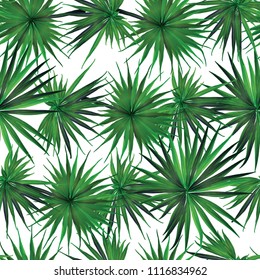 Palm Monstera Seamless Pattern. White Green Tropical Summer Background. Beach Jungle Leaves for Swimwear Design. Lei Rapport. Vintage Hawaiian Print. Exotic Texture. Botanic tile.