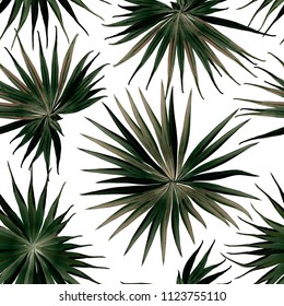 Palm Monstera Seamless Pattern. White Green Tropical Summer Background. Beach Jungle Leaves for Swimwear Design. Lei Rapport. Retro Hawaiian Print. Exotic Texture. Botanic tiling.