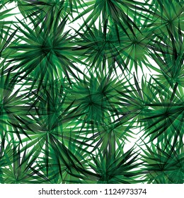 Palm Monstera Seamless Pattern. White Green Tropical Summer Background. Beach Jungle Leaves for Swimwear Design. Lei Rapport. Vintage Hawaiian Print. Exotic Texture. Botanic tiling.