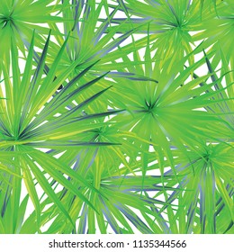 Palm Monstera Seamless Pattern. White Green Tropical Summer Background. Beach Jungle Leaves for Swimwear Design. Lei Rapport. Vintage Hawaiian Print. Tropic Textile Texture.  Botanic tiling.