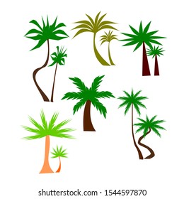 palm nature tree leaf green vector coconut beach