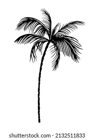 Palm object black. Vector illustration