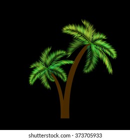 palm object. Vector