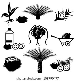 Palm Oil Icons Set