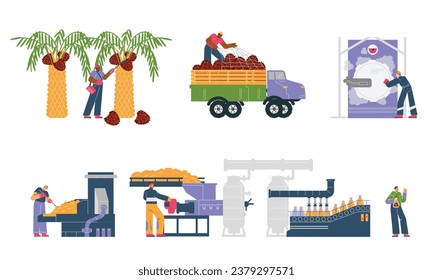 Proceso de producción de aceite de palma, conjunto de ilustraciones vectoriales planas aisladas en fondo blanco. Trabajadores de fábricas y granjeros cosechando frutas, trillando en máquinas, aclarando y empacando aceite.