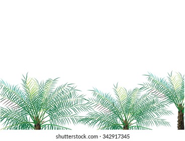 Palm oil  tree for background,vector illustration
