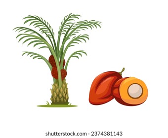 Palm Oil Tree And Fruit Object Set illustration Vector