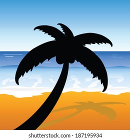 palm on the beach color vector