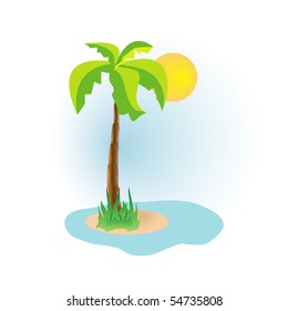 palm on island