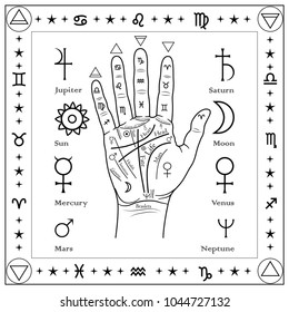 Palm on palmistry with names of lines and hills of planets.