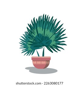 palm on pot vector design