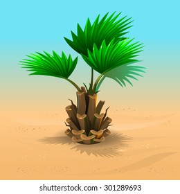Palm on the sand
