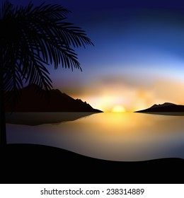 palm on a tropical beach in evening