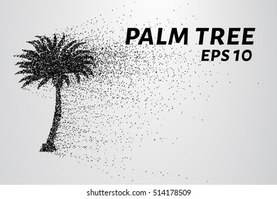 The palm of the particles. Palma crumbles into small circles and dots. Vector illustration