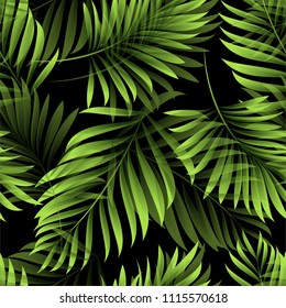Palm. Pattern of fresh green leaves of a tropical tree on a black background. Vector image.