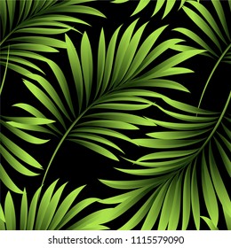 Palm. Pattern of fresh green leaves of a tropical tree on a black background. Vector image.