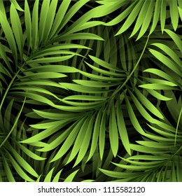 Palm. Pattern of fresh green leaves of a tropical tree on a black background. Vector image.