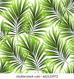 Palm pattern. Leaves of a tropical green palm tree.