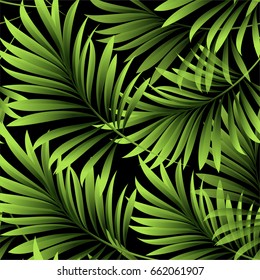 Palm pattern. Leaves of a tropical palm tree.