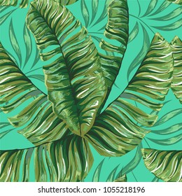 Palm pattern. Tree, jungle leaves.   Hand drawing.