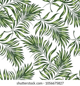 Palm pattern. Tree, jungle leaves.   Hand drawing.