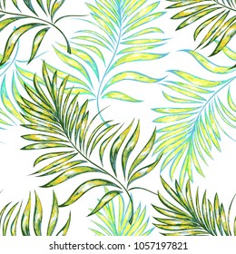 Palm pattern. Tree, jungle leaves.   Hand drawing.