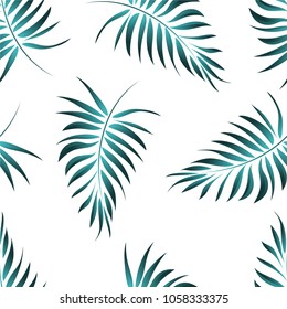 Palm pattern. Tree, jungle leaves.   Hand drawing.