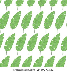 Palm pattern vector illustration. Seamless pattern with a green palm leaf on a transparent background.