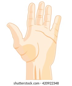 Palm of the person