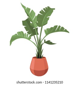 Palm. Plant in the pot  for scandinavian interior. Vector stylish elements design. Great for gardening magazines , flower store or home poster. Vector illustration.