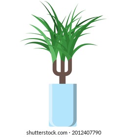 Planta de palma en vector de olla. Flor interior de árbol. Marihuana de la casa. Icono de planta de hogar tropical verde ilustración plana aislada en fondo blanco
