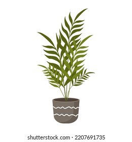 Palm in a pot. Color flat vector illustration. Green plant in a flowerpot on a white background. Flower for home.
