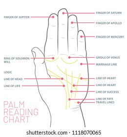 Palm Line Reading Chart