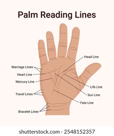 Palm Reading Lines Right Hand